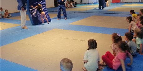 Powiększ grafikę: grupa-zielona-na-pokazach-judo-634940.jpg