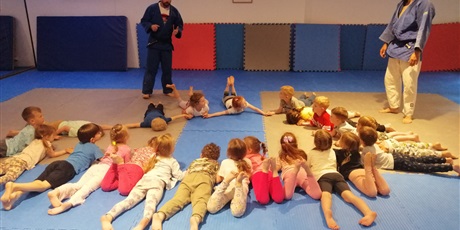 Powiększ grafikę: grupa-zielona-na-pokazach-judo-634941.jpg