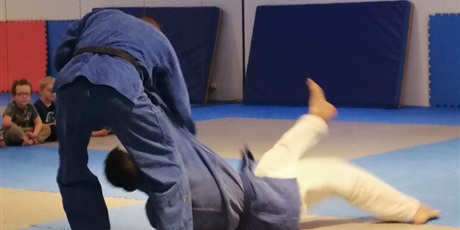 Powiększ grafikę: grupa-zielona-na-pokazach-judo-634942.jpg