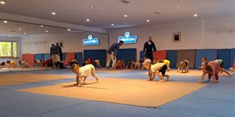 Powiększ grafikę: grupa-zielona-na-pokazach-judo-634944.jpg