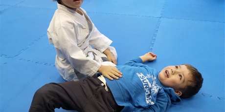 Powiększ grafikę: pokazy-judo-w-przedszkolu-404289.jpg