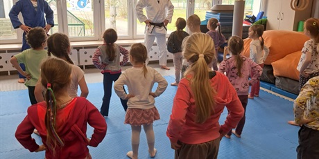 Powiększ grafikę: pokazy-judo-w-przedszkolu-687794.jpg