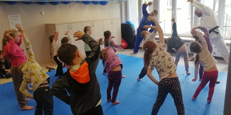 Powiększ grafikę: pokazy-judo-w-przedszkolu-687795.jpg