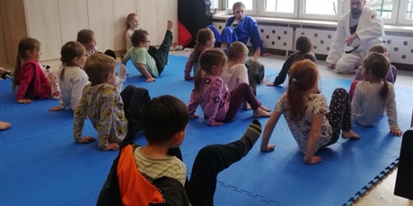 Powiększ grafikę: pokazy-judo-w-przedszkolu-687796.jpg
