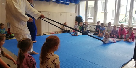 Powiększ grafikę: pokazy-judo-w-przedszkolu-687797.jpg