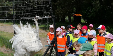 Powiększ grafikę: wycieczka-do-kniewa-620520.jpg