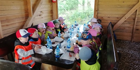 Powiększ grafikę: wycieczka-do-kniewa-620532.jpg