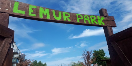 Wycieczka do Lemur Parku w Rumii